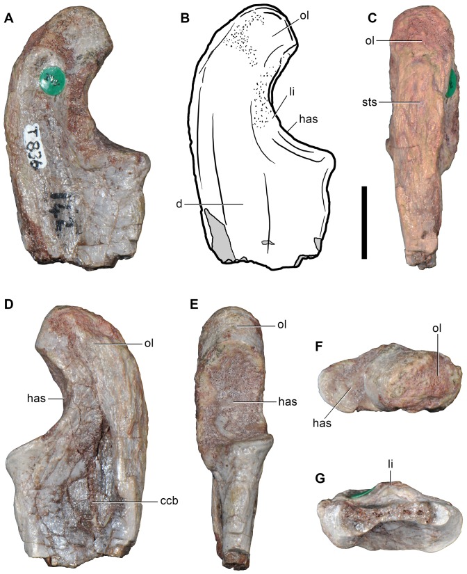 Figure 13