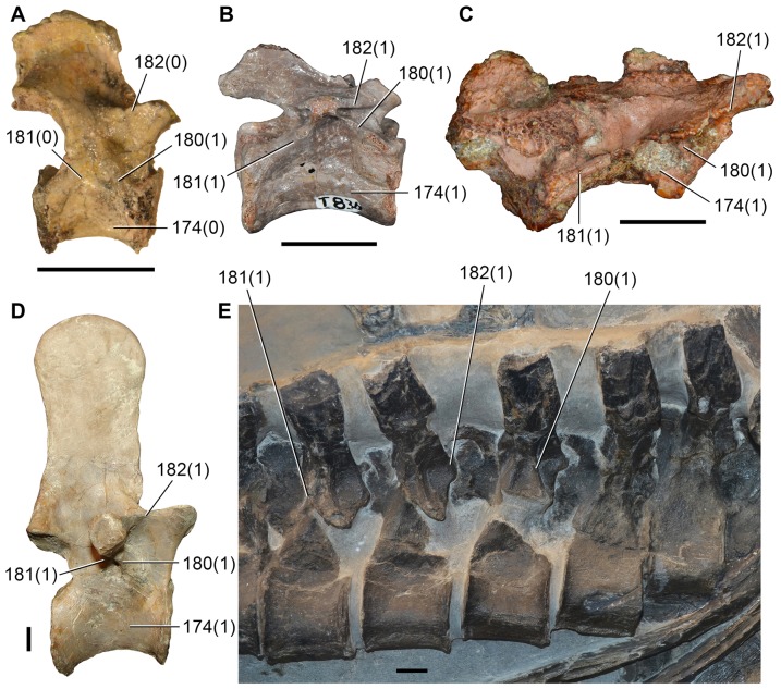 Figure 16