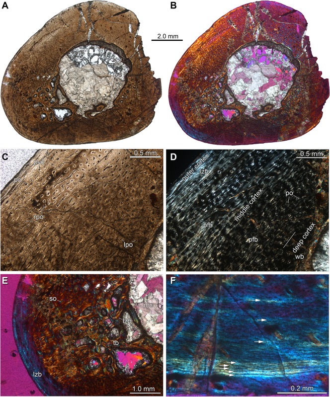 Figure 15