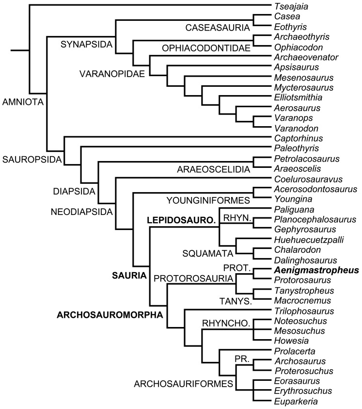 Figure 1