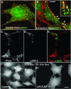 Figure 10.