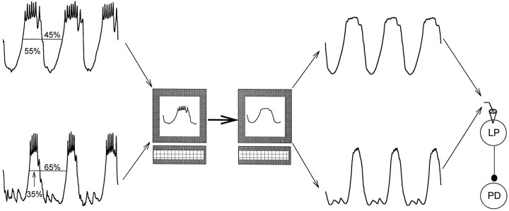 Fig. 1.