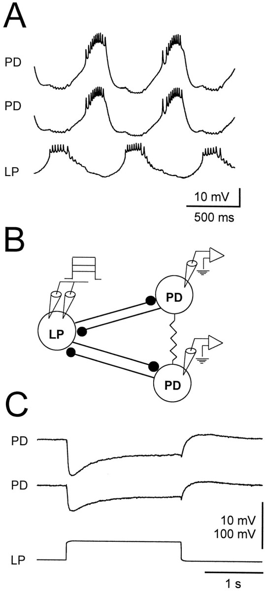 Fig. 2.