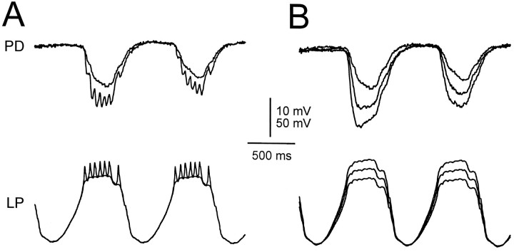 Fig. 12.