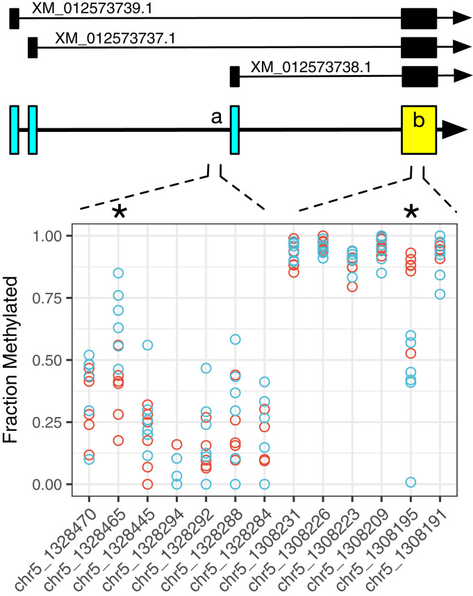 Fig. 6.