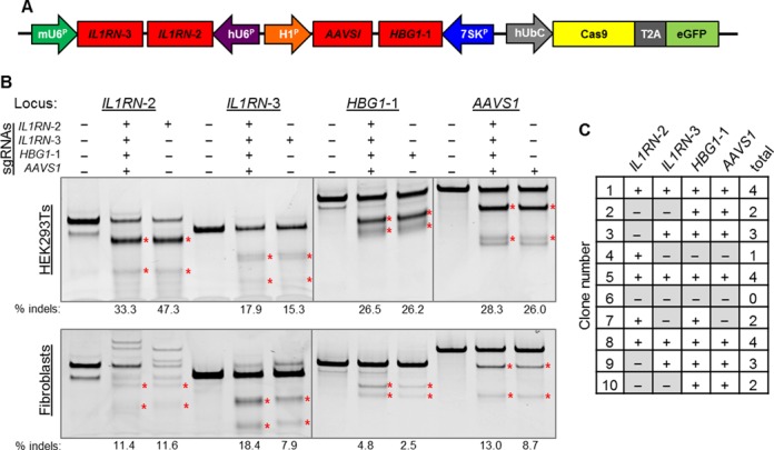 Figure 3.