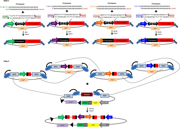 Figure 2.