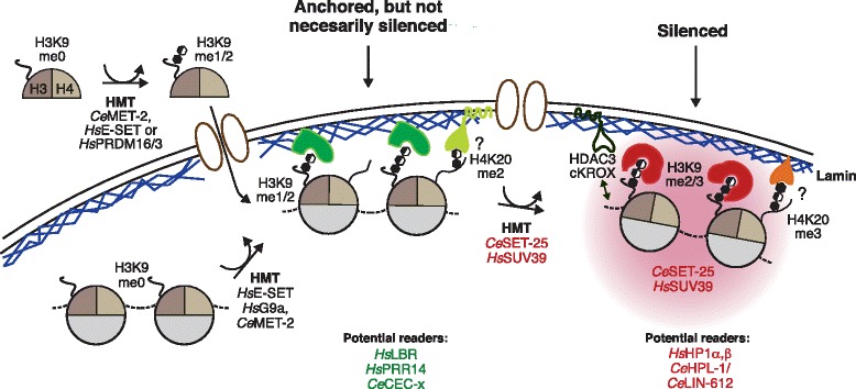 Fig. 2