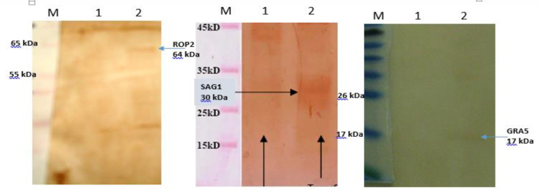 Fig. 2: