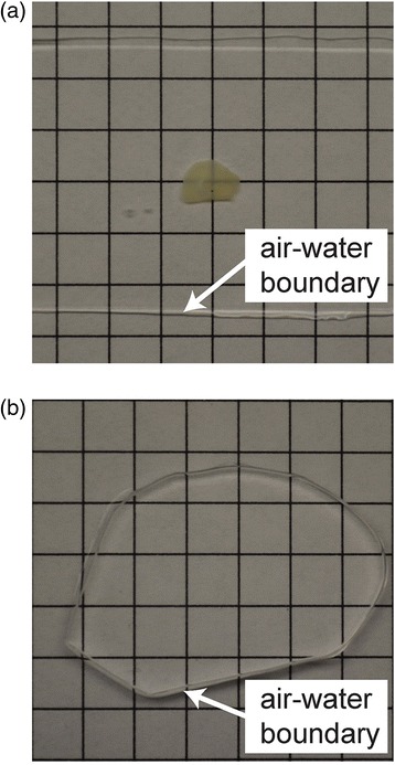 Fig. 3.