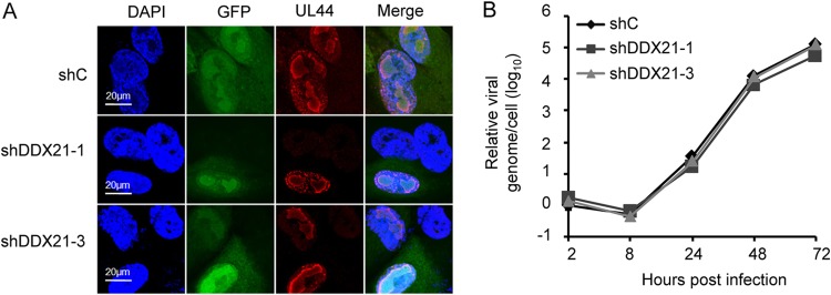 FIG 4