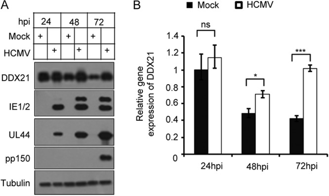 FIG 1