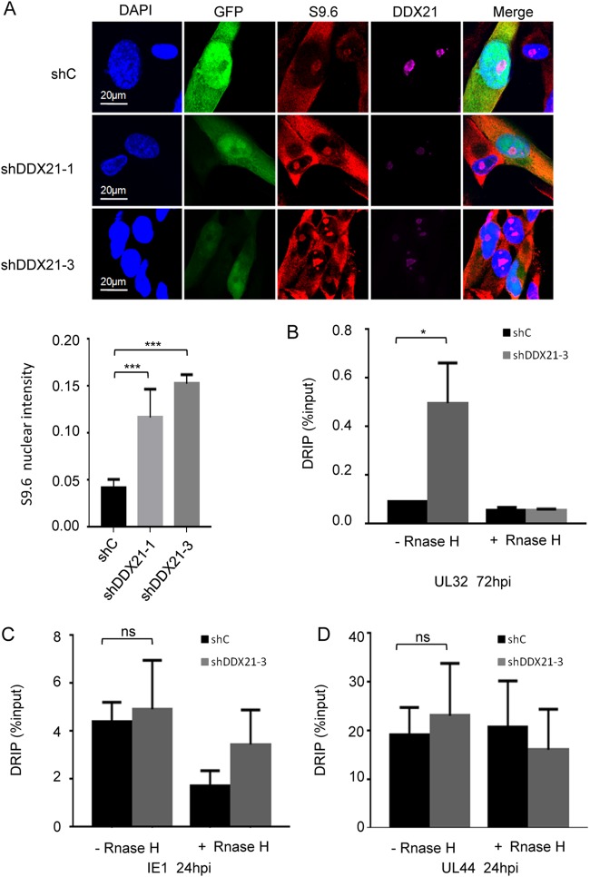 FIG 6