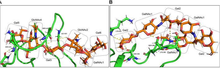 FIGURE 12