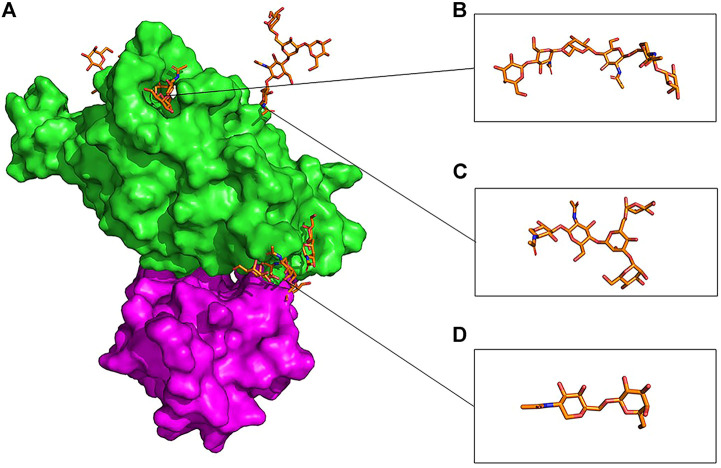 FIGURE 10