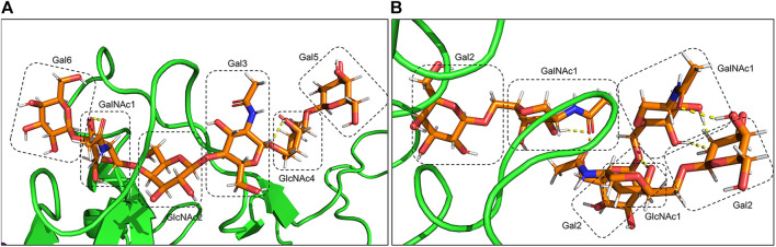 FIGURE 11