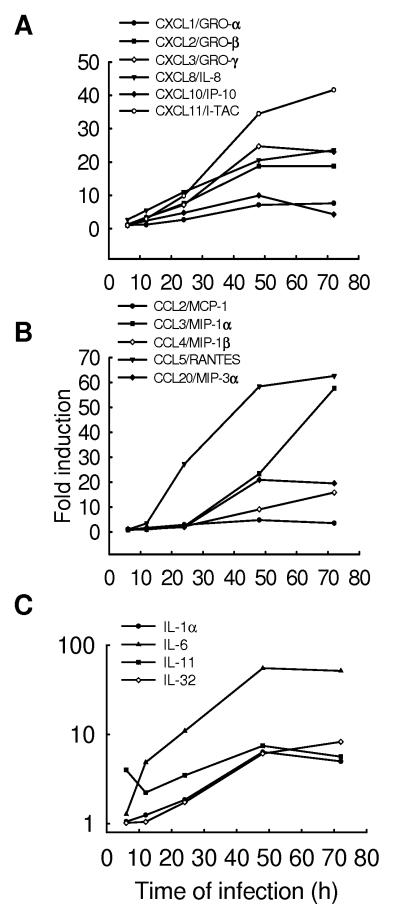 Fig.3