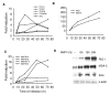 Fig.6