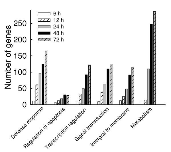 Fig.2