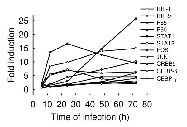 Fig.5