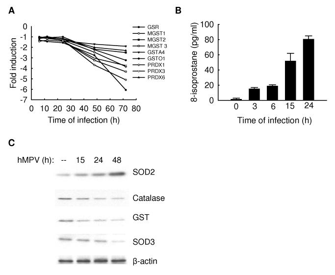 Fig.7