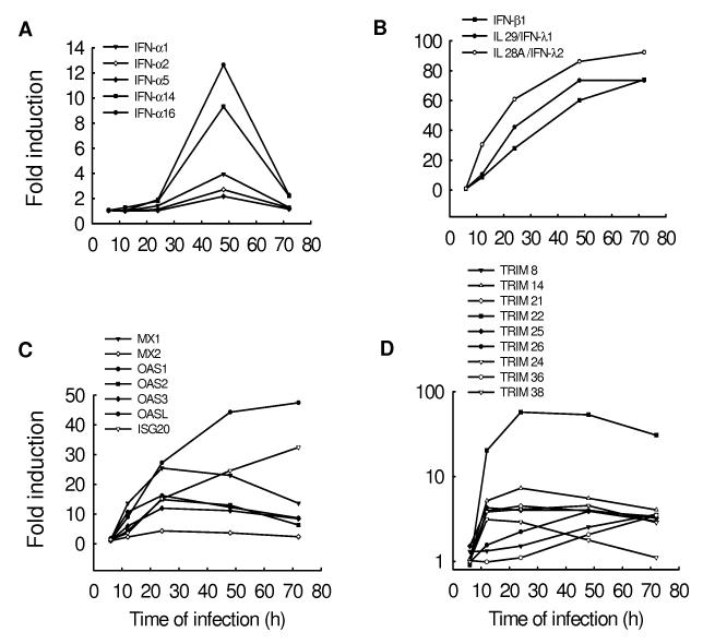 Fig.4