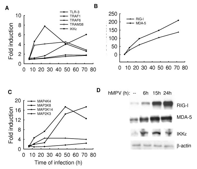 Fig.6