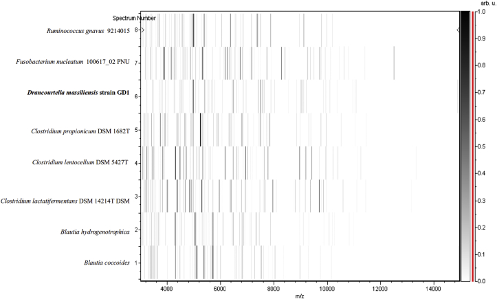 Fig. 2