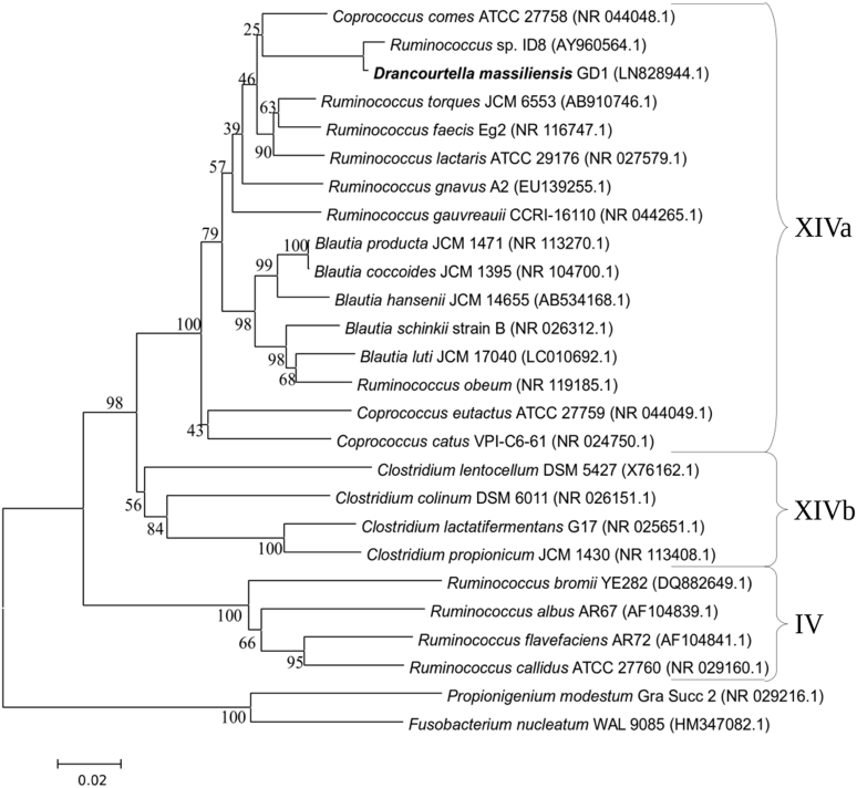 Fig. 3