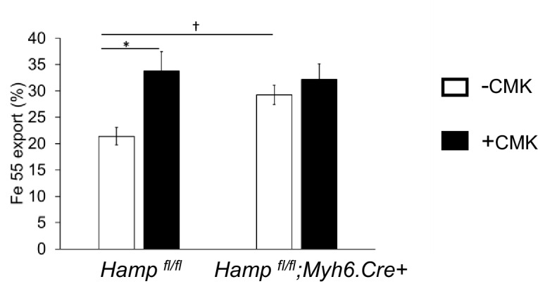 Appendix 1—figure 1.