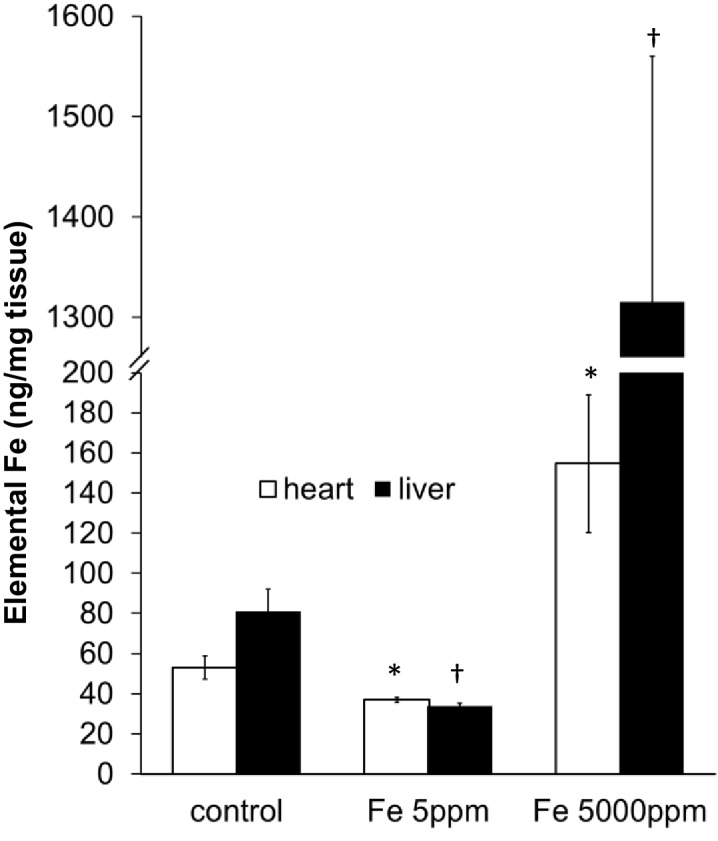 Figure 1—figure supplement 1.