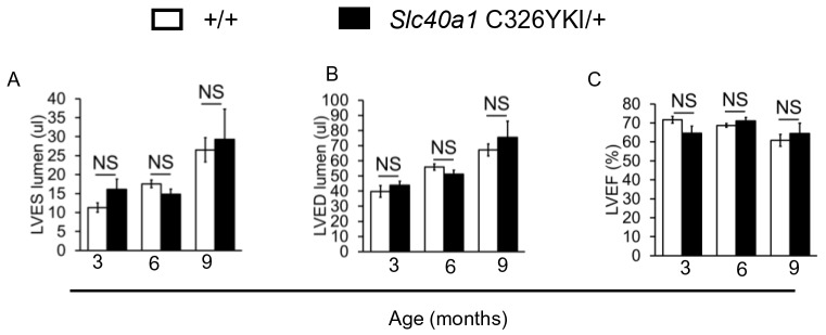 Appendix 1—figure 3.