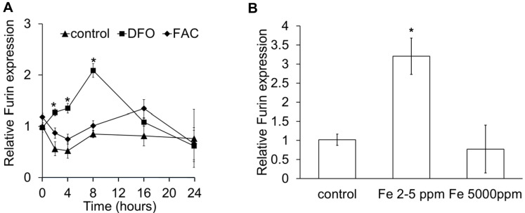 Figure 1—figure supplement 2.