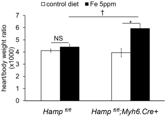 Appendix 1—figure 2.