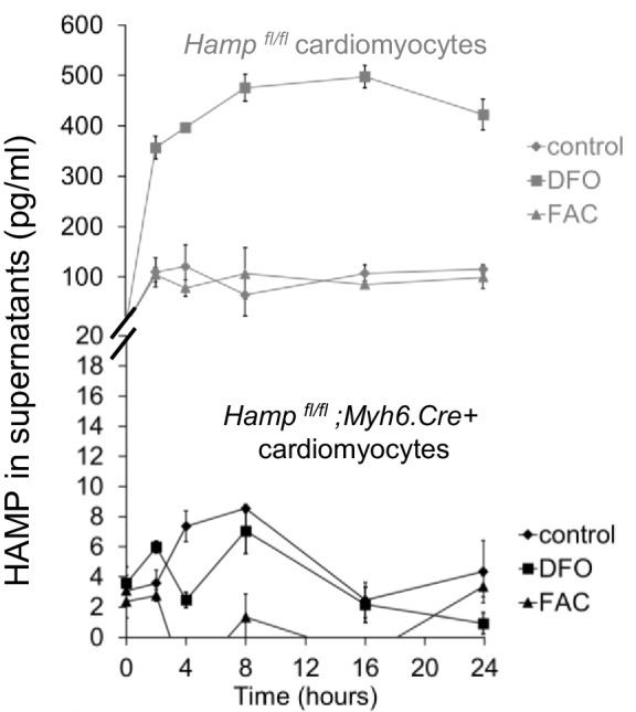 Figure 1—figure supplement 4.