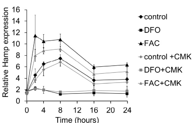 Figure 1—figure supplement 3.