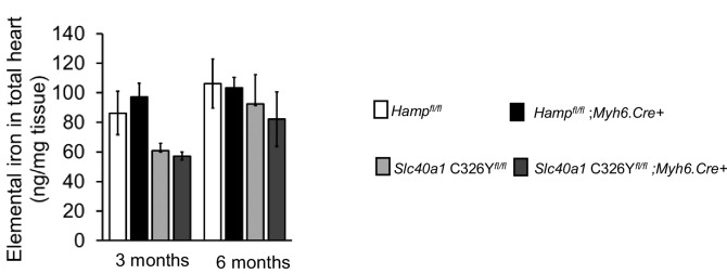 Figure 3—figure supplement 2.