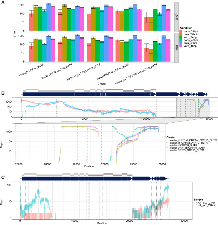 Figure 4