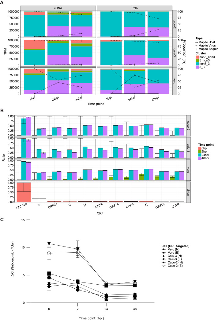 Figure 1