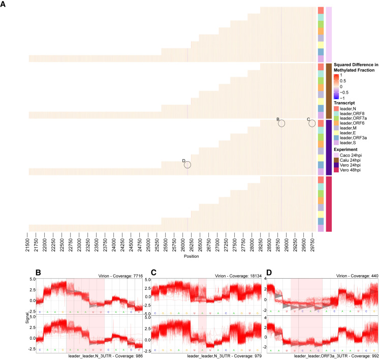 Figure 6