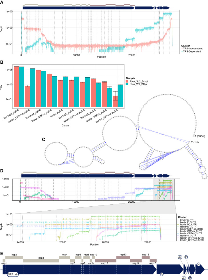 Figure 3