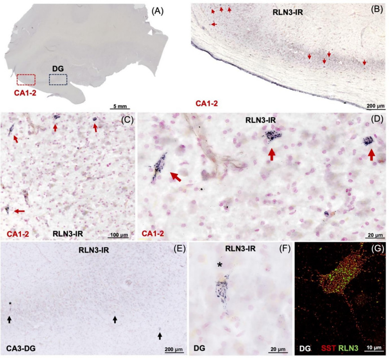 Fig. 8