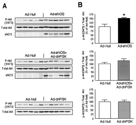 FIG. 8.