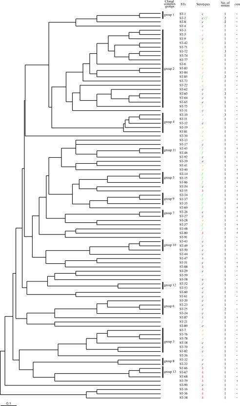 FIG. 1.