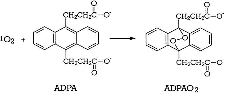 Scheme 2.