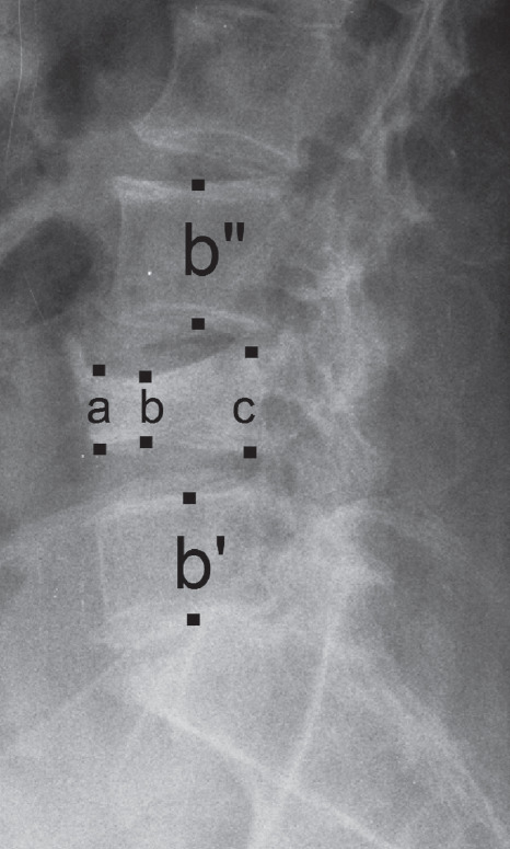 Fig. 3.