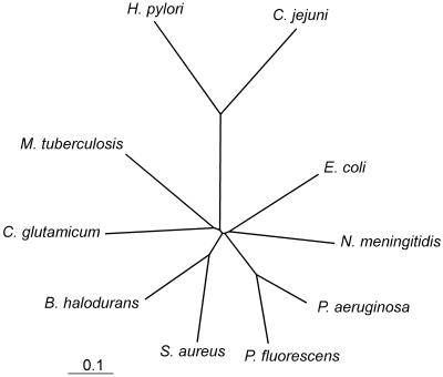 FIG. 1