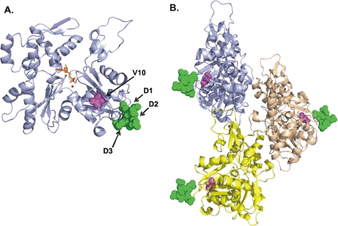 FIGURE 1.