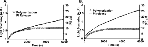 FIGURE 9.