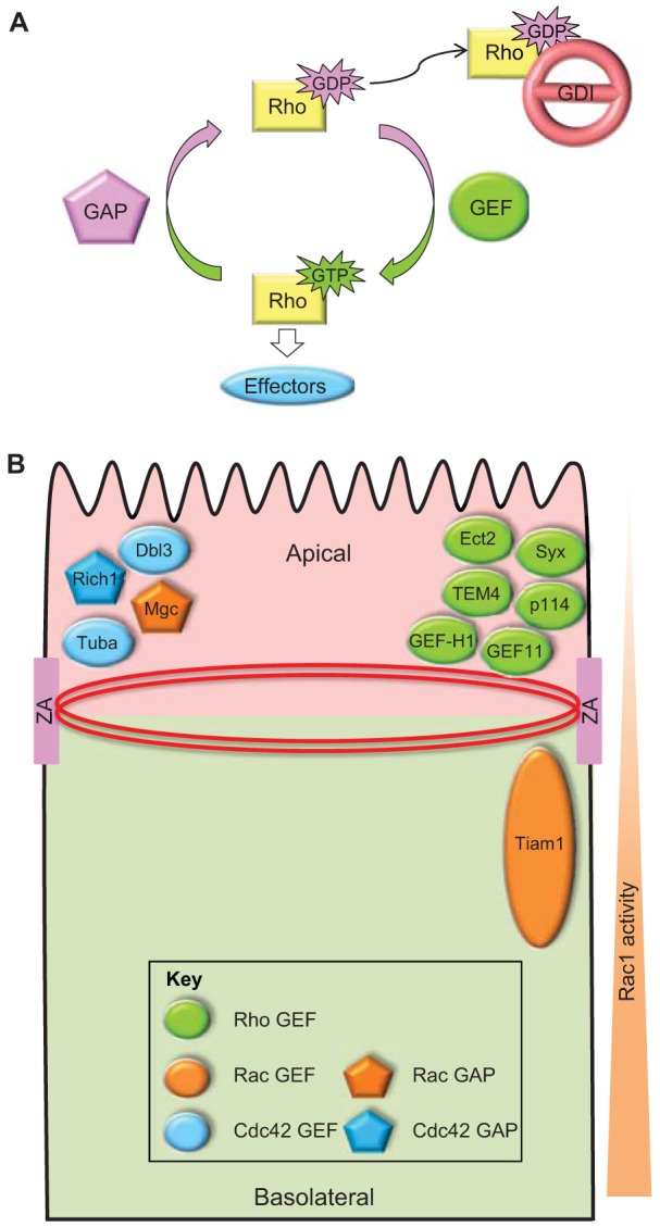 Fig. 2.